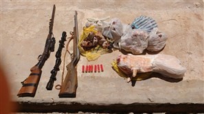 Polícia Ambiental apreende cinco quilos de carne de paca em cidade próxima a Campo Mourão